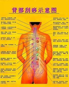 刮痧治疗视频,健康生活——揭秘刮痧治疗视频的神奇疗效