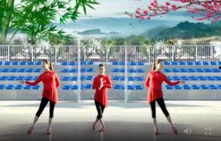 梅花泪舞蹈教学视频,优雅与力量的完美融合