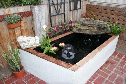 自制鱼池视频,体验水族养殖乐趣