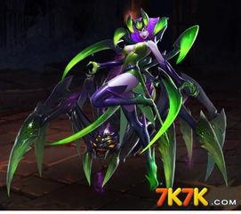 英魂狼蛛视频,探寻神秘狼族战士的荣耀征程